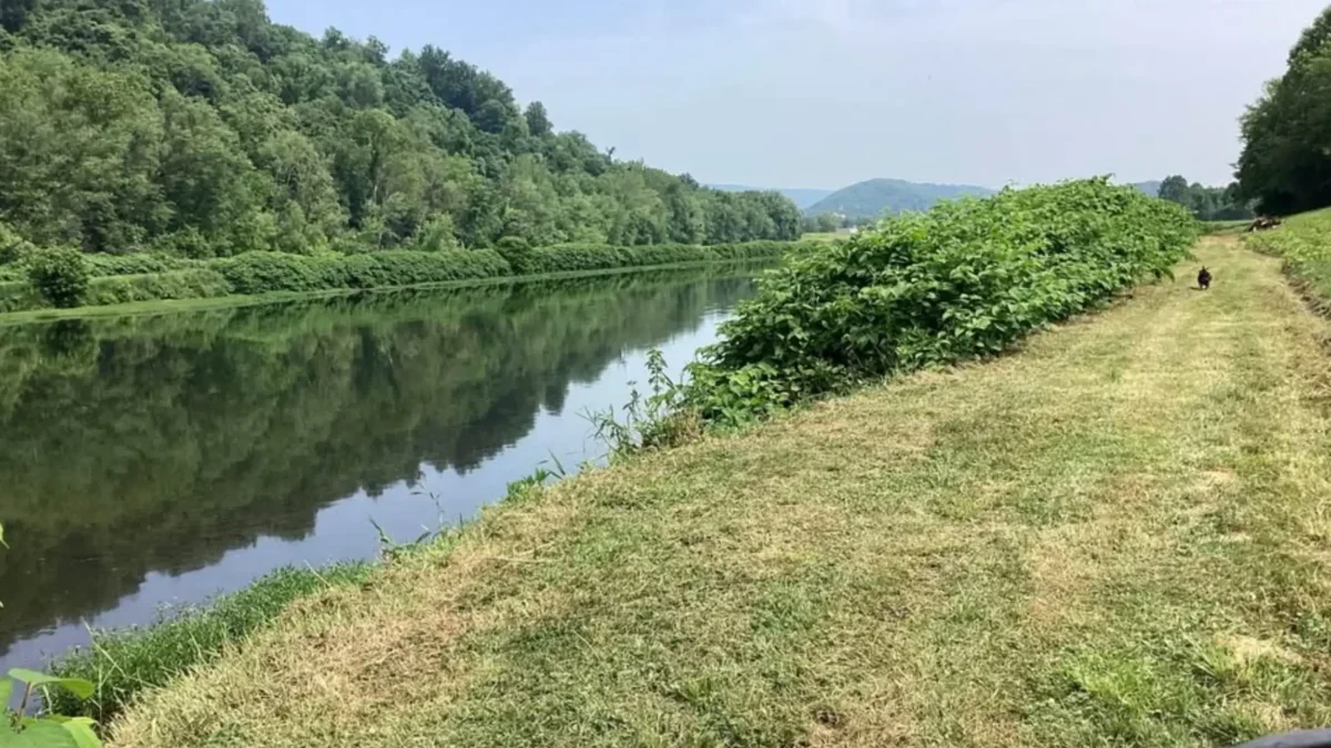 řeka v přírodě