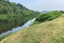 řeka v přírodě