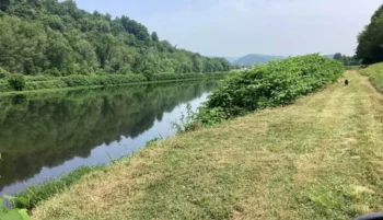 řeka v přírodě