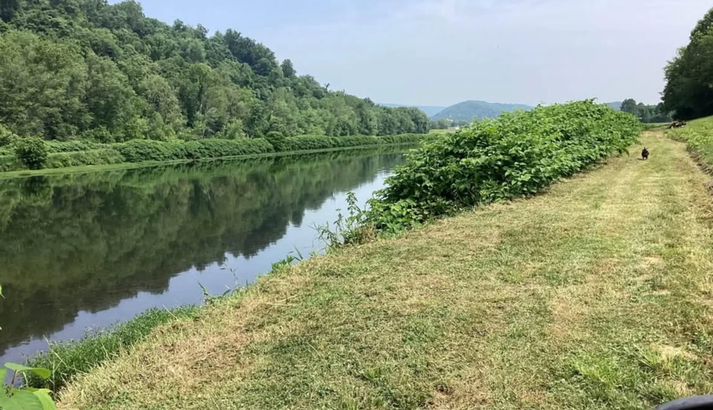 řeka v přírodě