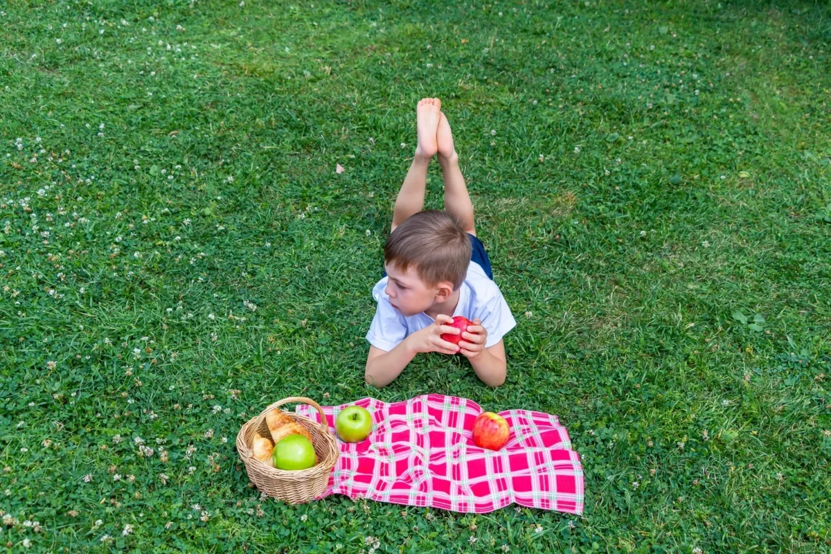 shutterstock_1981369796-2-2