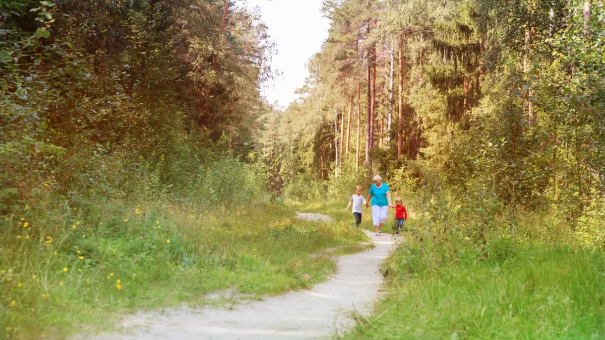 Lidé se prochází po lesní cestě.