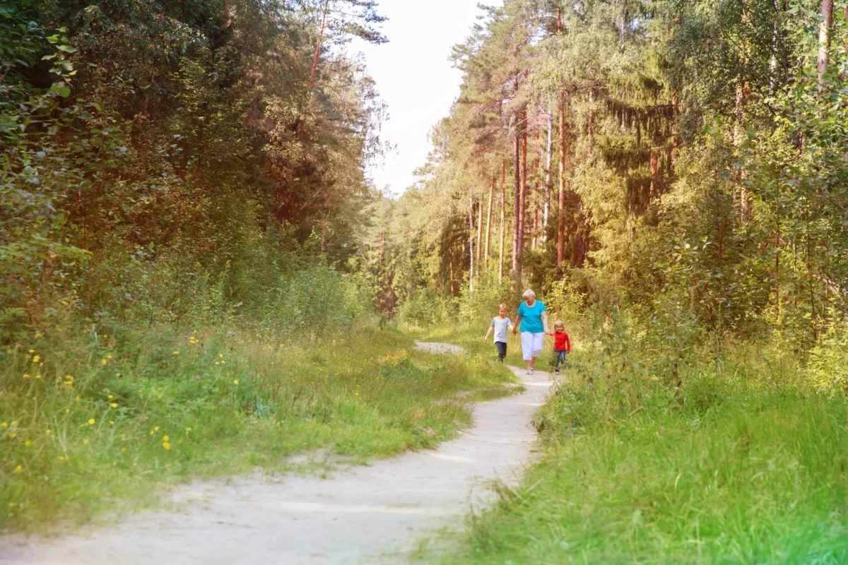 Lidé se prochází po lesní cestě.