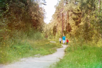 Lidé se prochází po lesní cestě.