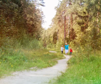 Lidé se prochází po lesní cestě.