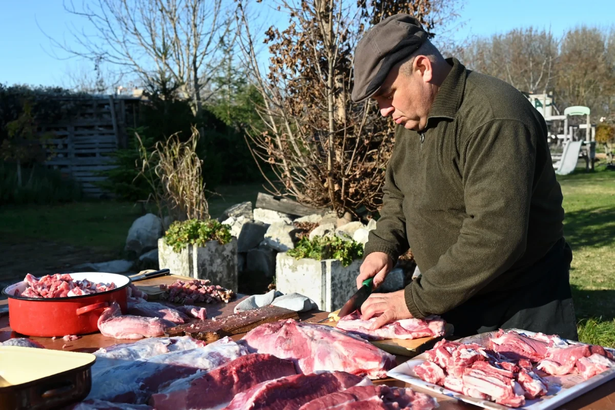 muž porcuje maso