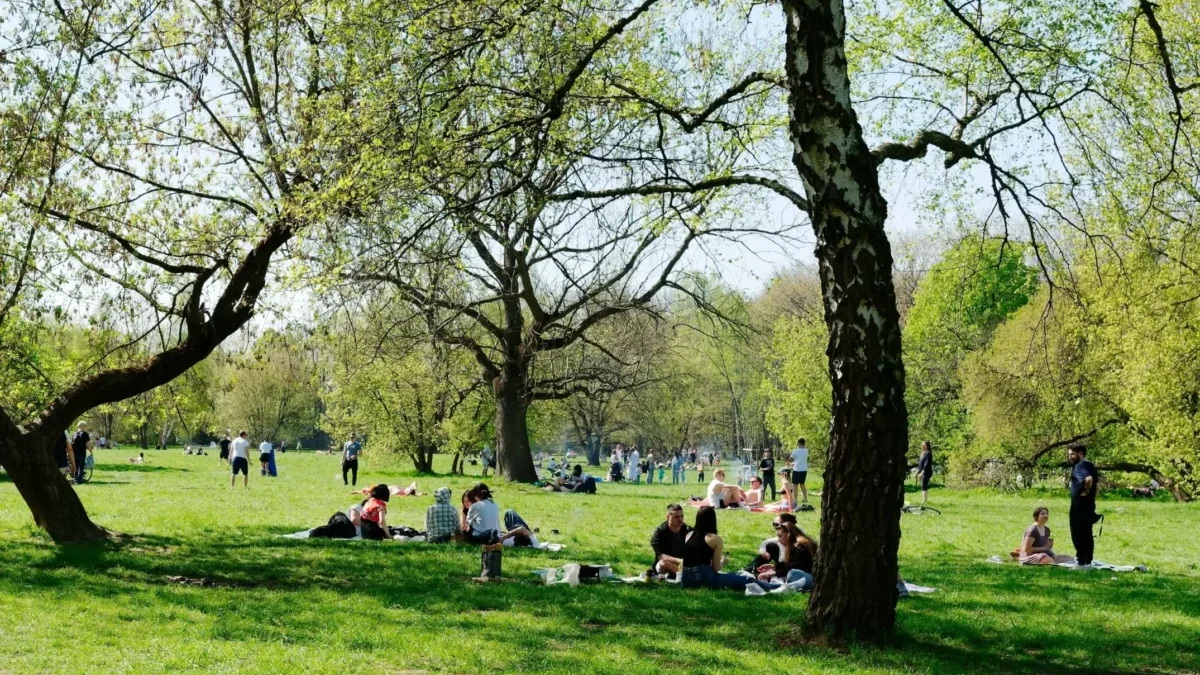 Lidé sedící na trávě v parku.