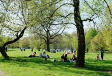 Lidé sedící na trávě v parku.