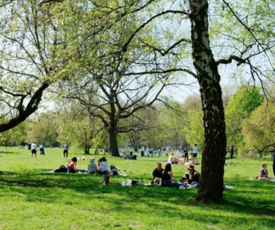 Lidé sedící na trávě v parku.