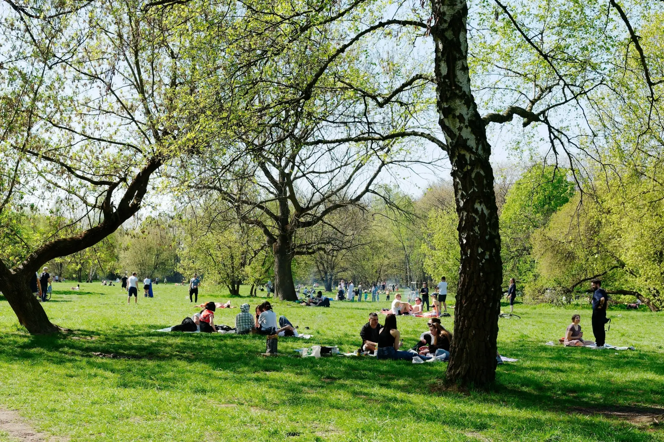 Lidé sedící na trávě v parku.