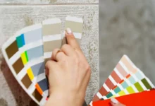 shutterstock_2178417067-2