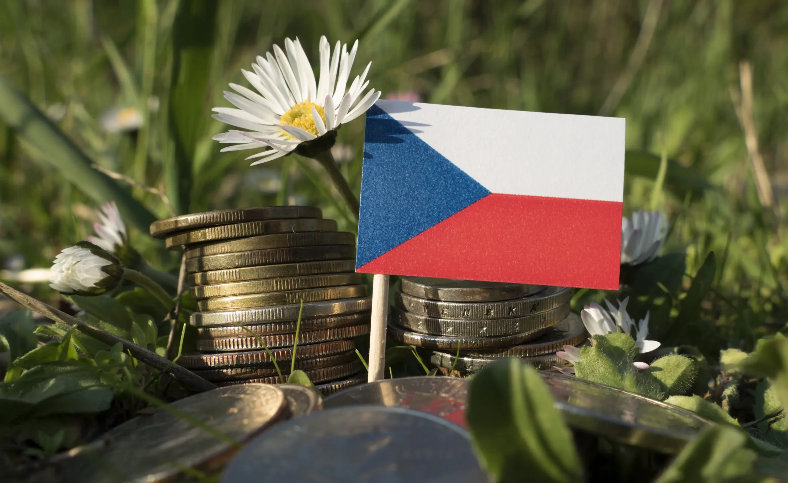 V trávě leží mince a česká vlaječka.