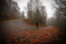 shutterstock_2712702429-2-2-2