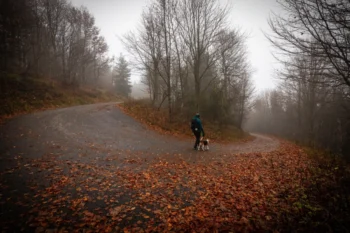 shutterstock_2712702429-2-2-2