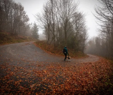 shutterstock_2712702429-2-2-2