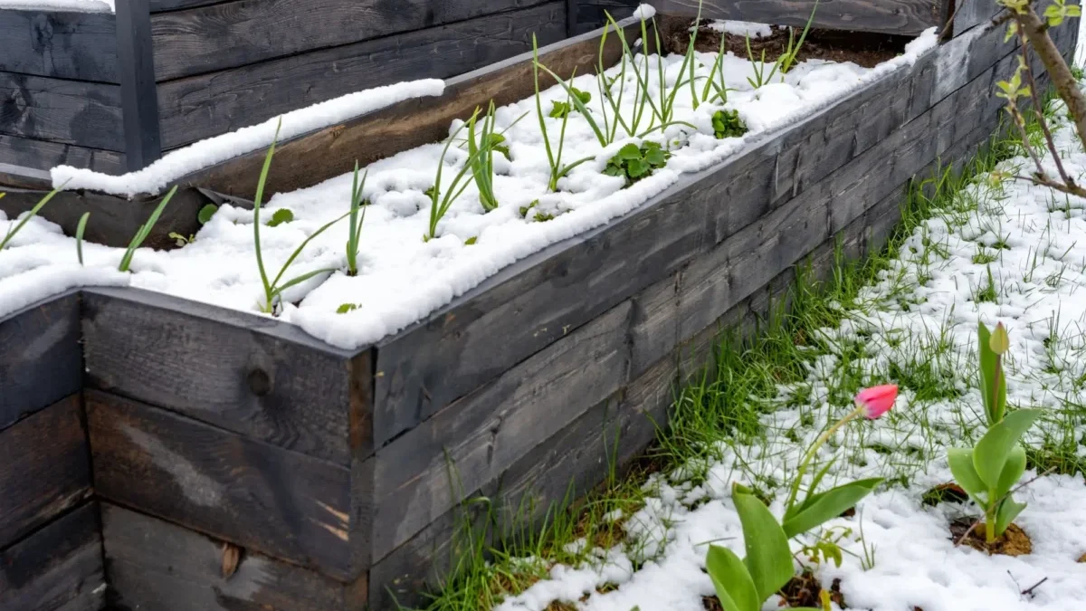 Jaro je tady a do toho napadne sníh