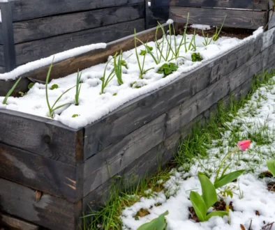 Jaro je tady a do toho napadne sníh