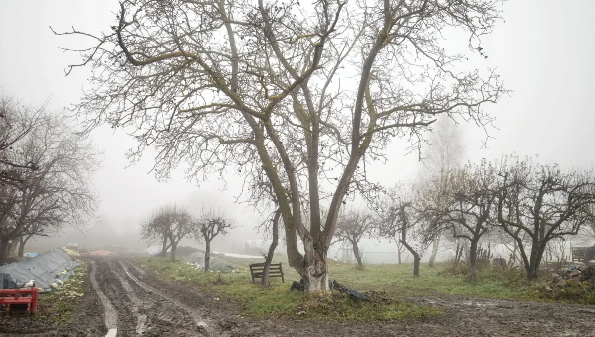 Počasí v Čechách