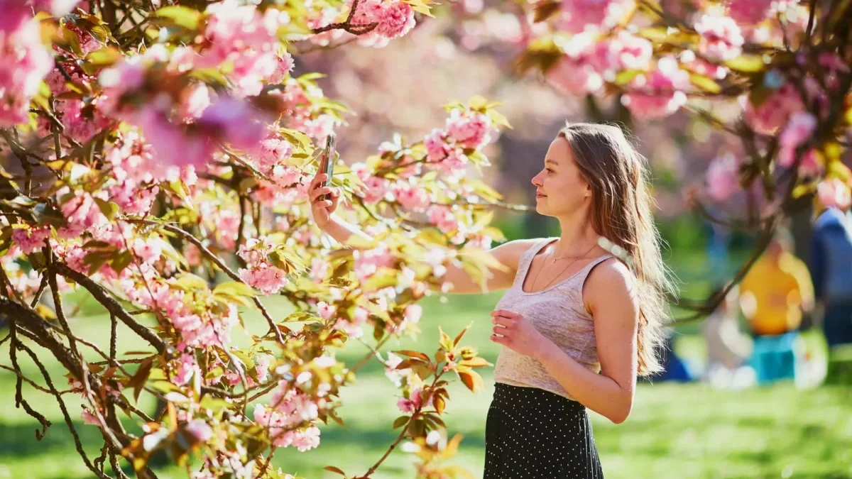 Letošní jaro by mělo končit nezvykle vysokými teplotami. Zdroj: Shutterstock