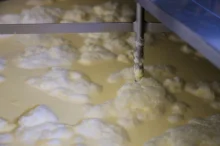Fermentace