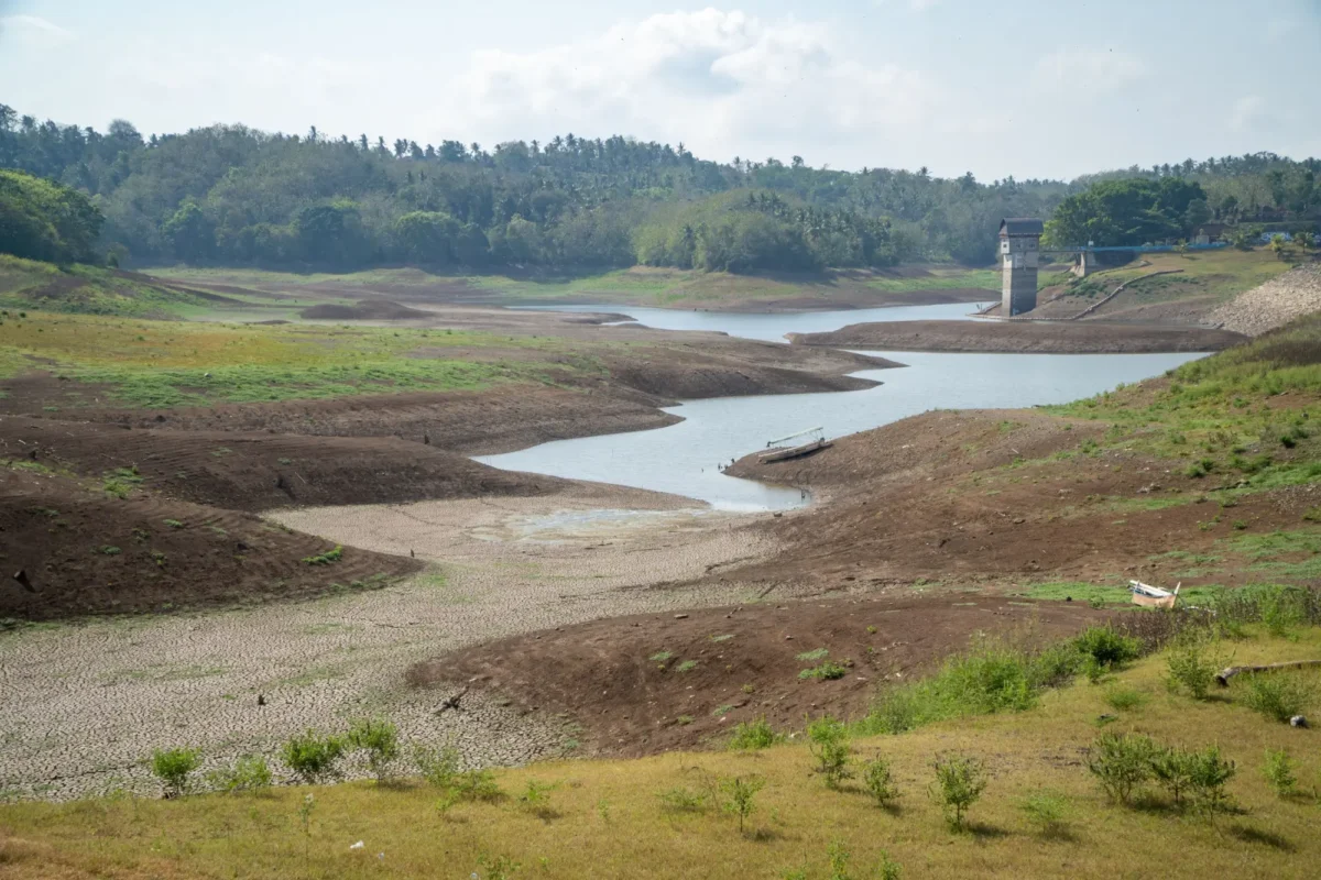 sucho vlivem klimatické změny