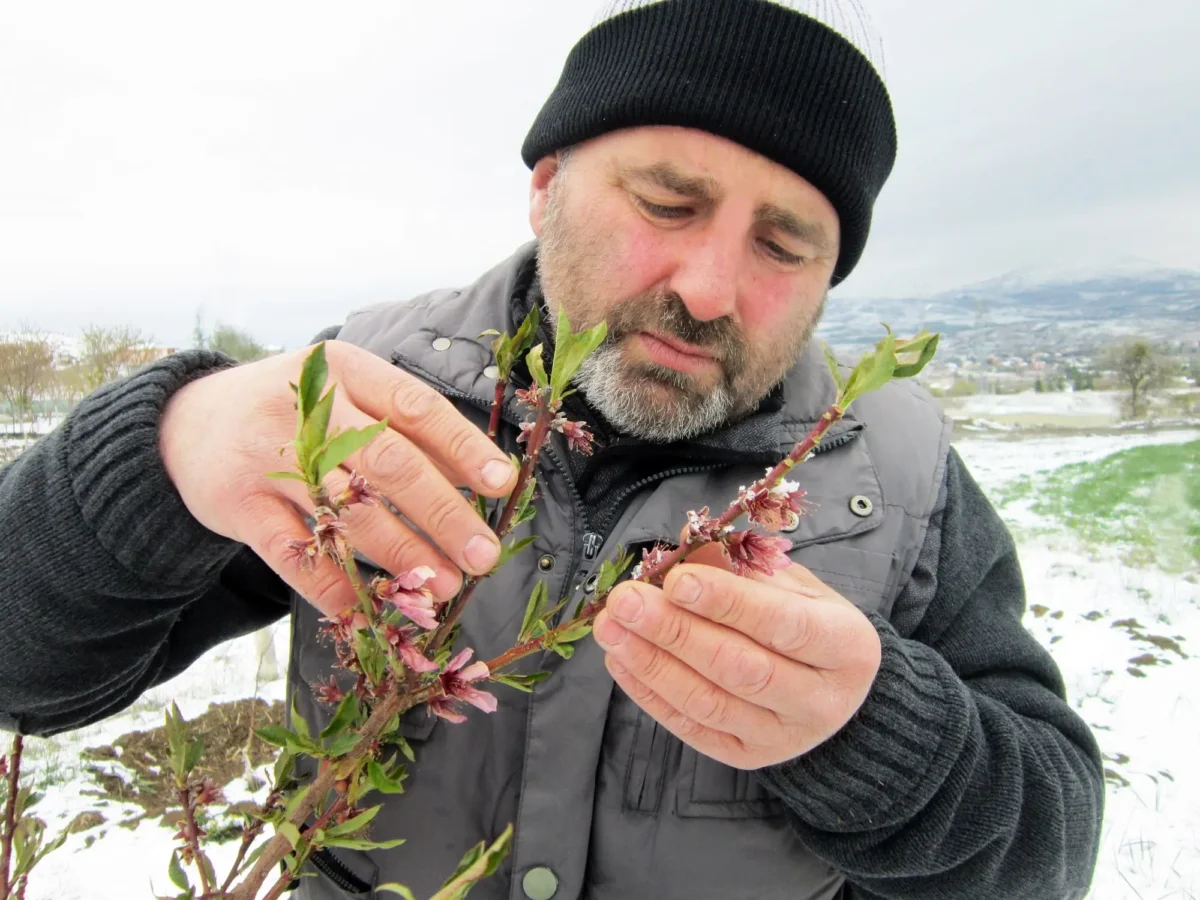 Nejen řidiči, také zahrádkáři vyhlížejí možný návrat zimy s obavami. Zdroj: Shutterstock