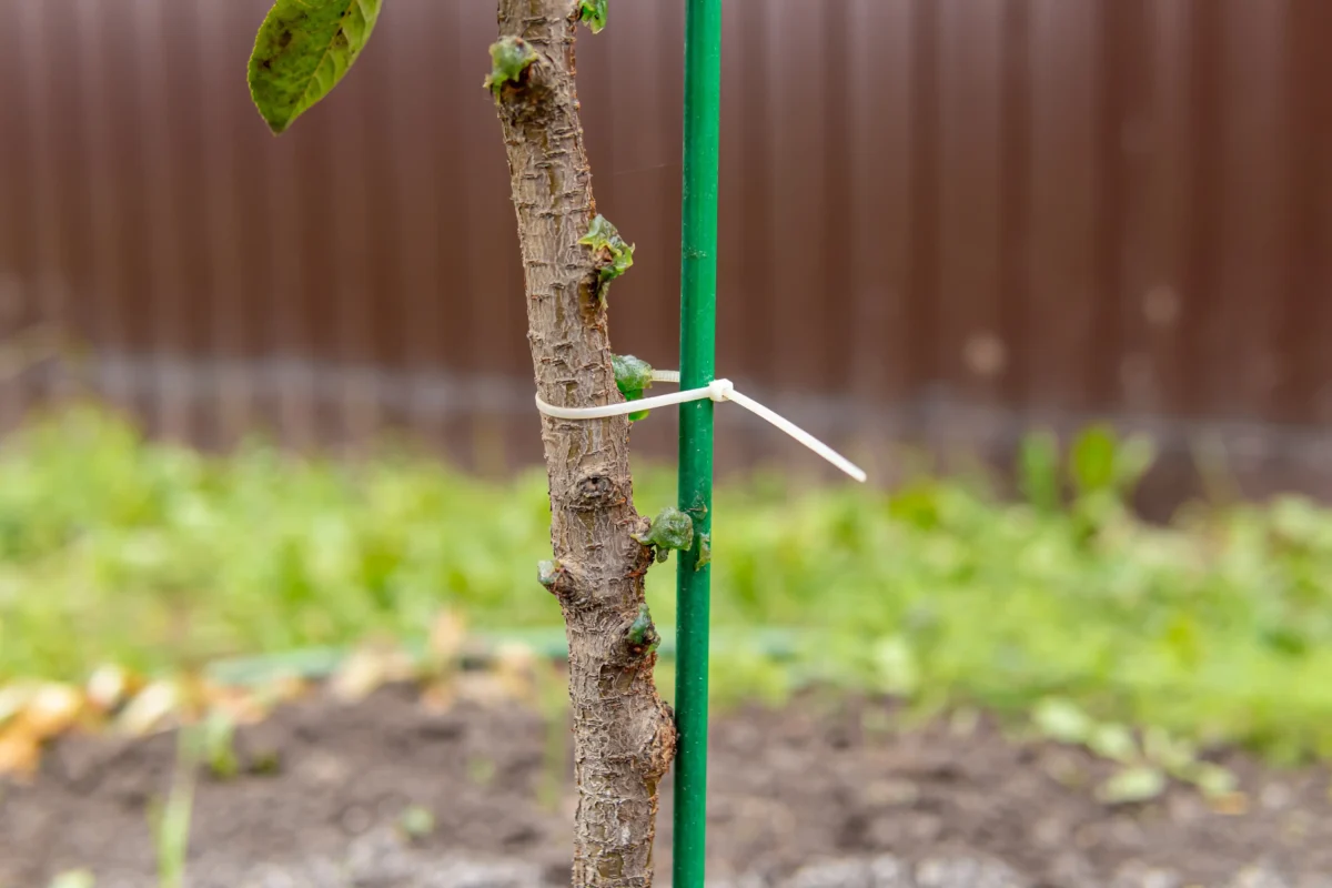 Stromek je připevněný pomocí stahovací pásky. 