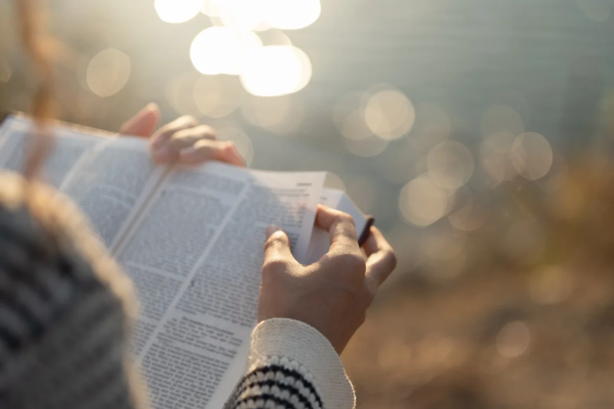 shutterstock_2725746825-převedeno-z-jpg | TVGURU.cz žena čte