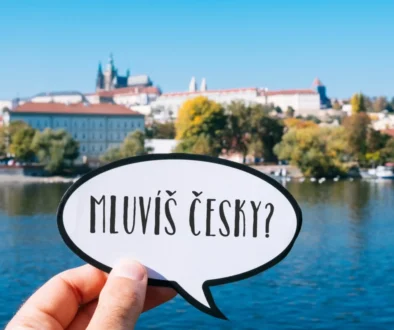 shutterstock_1480177322-2