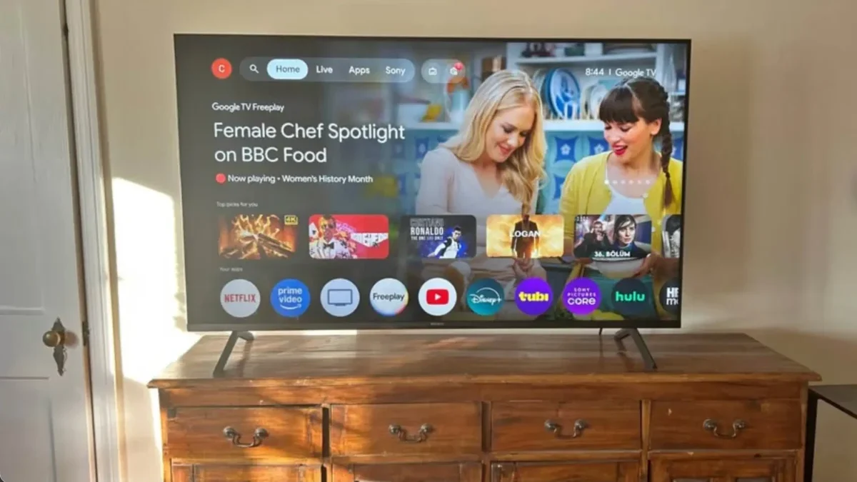 televize s netflixem