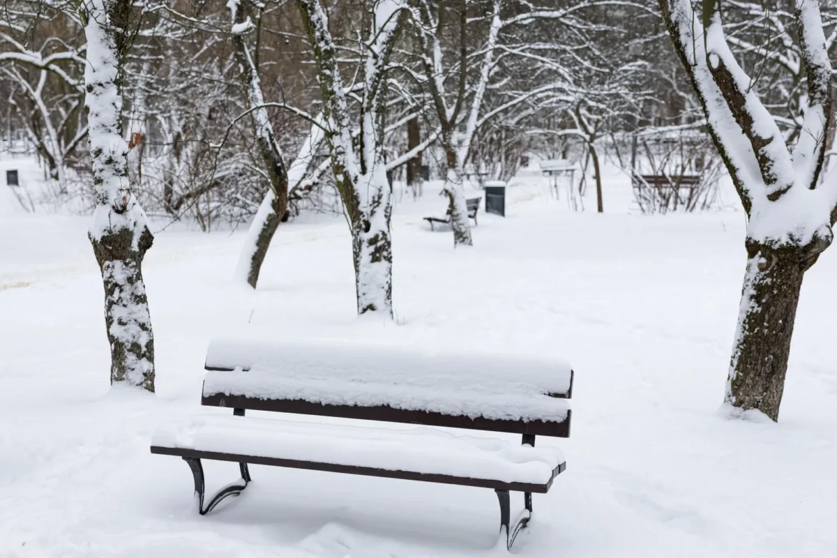 sníh v parku