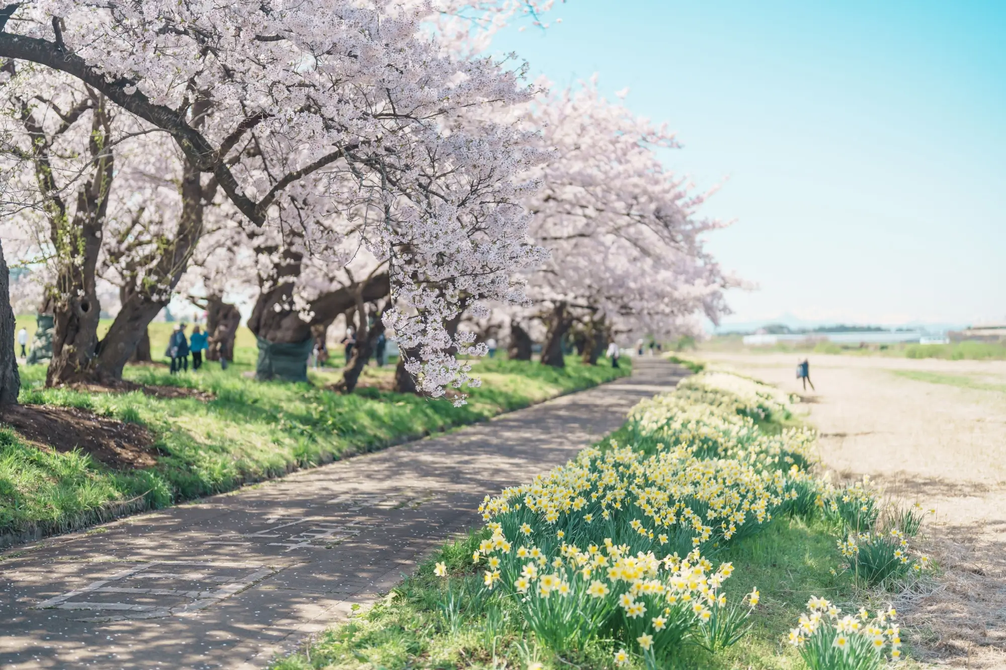 Snad jim opožděné mrazíky neublíží