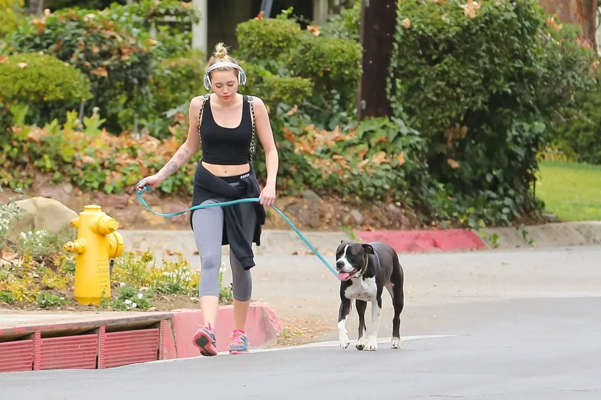 Herečka a zpěvačka Miley Cyrus venčí svého psa Angela. Zdroj: Profimedia