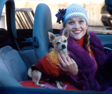 Film Pravá blondýnka čivavám tak trochu uškodil. Zdroj: Profimedia