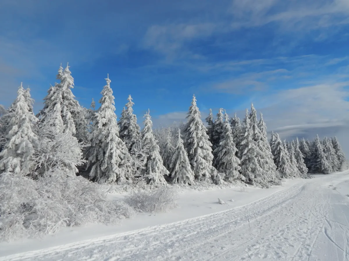 Pustevny pod sněhem