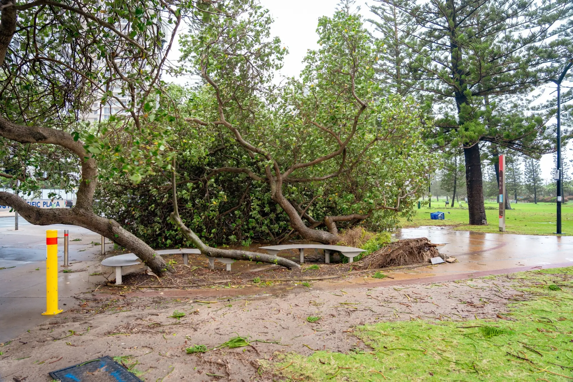 Důsledky medikánu | TVGURU.cz Důsledky medikánu
