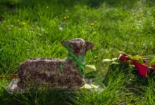 Na trávě leží velikonoční beránek.