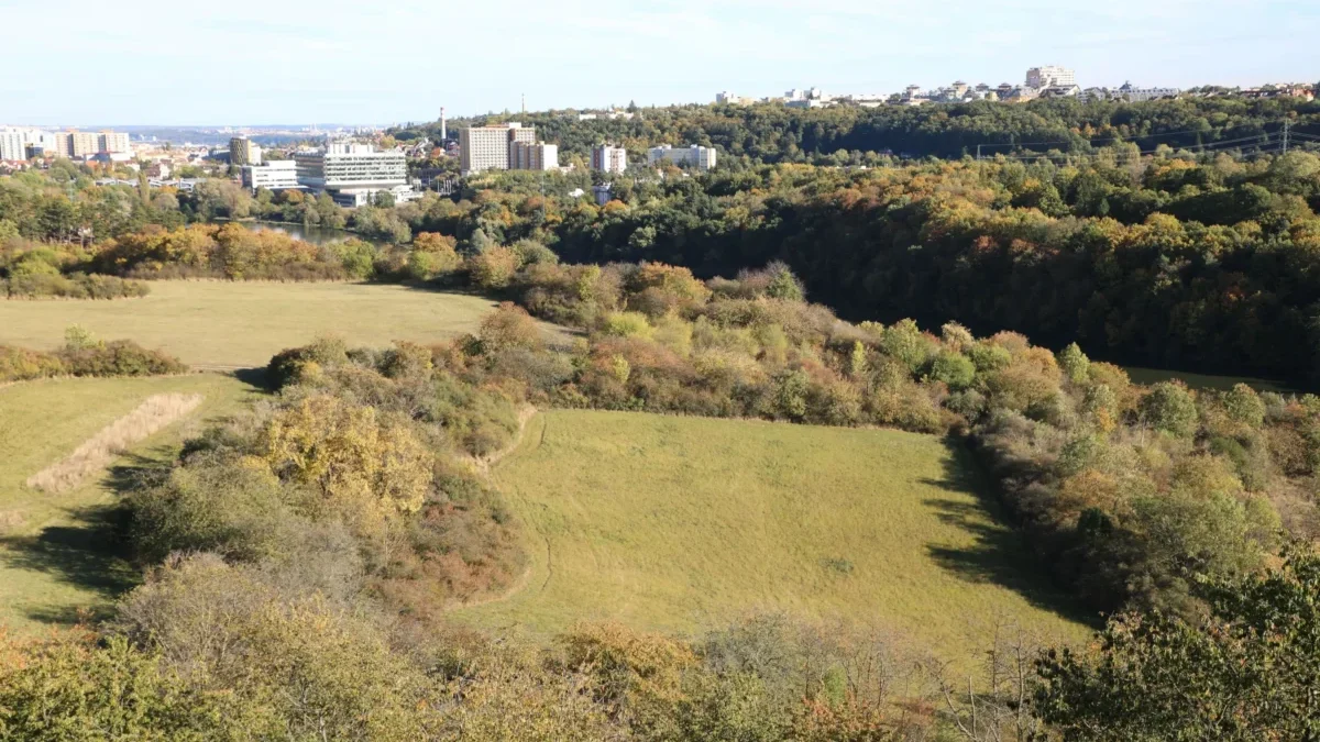 naleziště u šárecké údolí