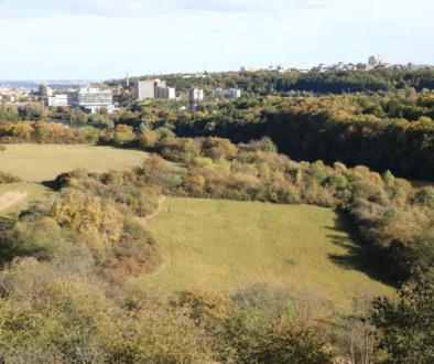 naleziště u šárecké údolí