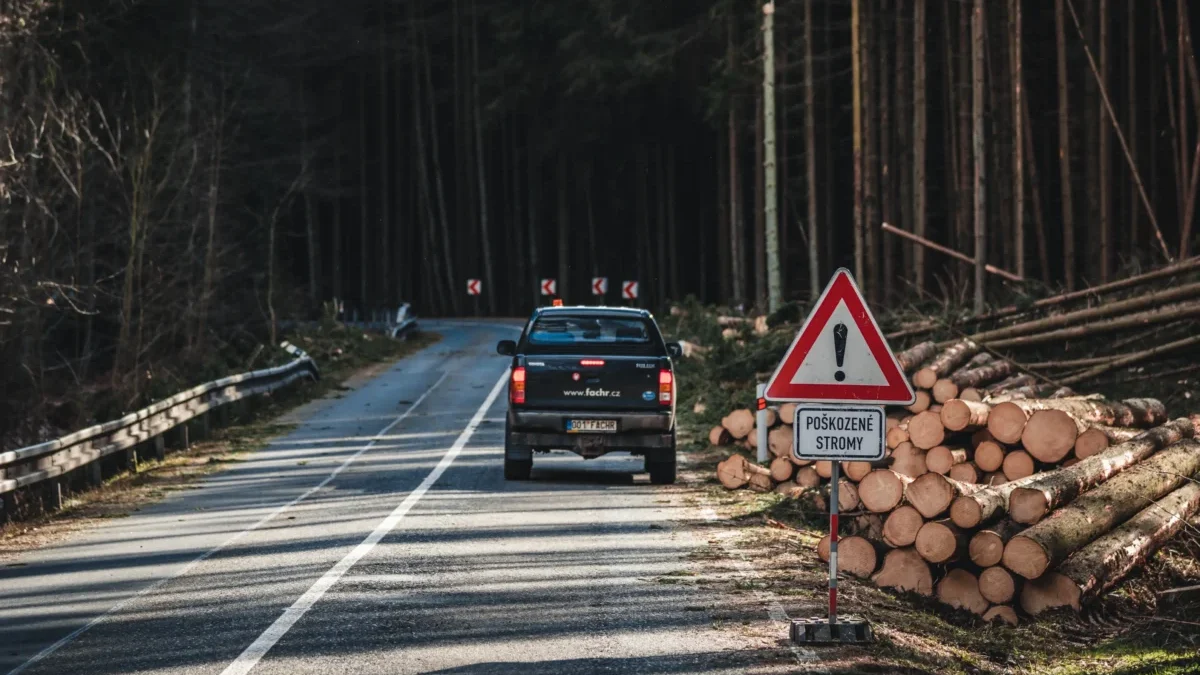 shutterstock_2126437373-2