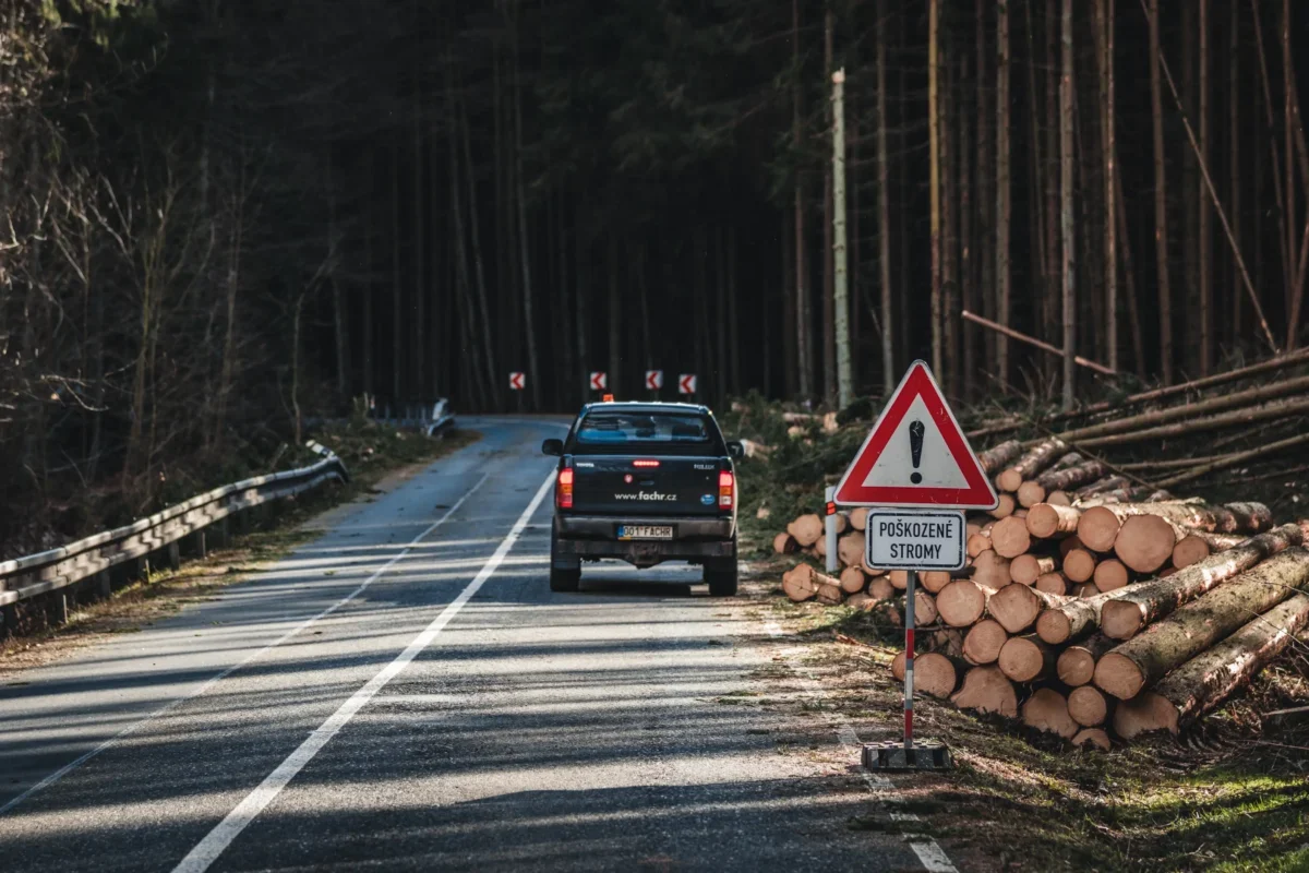 shutterstock_2126437373-2