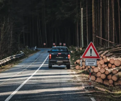 shutterstock_2126437373-2