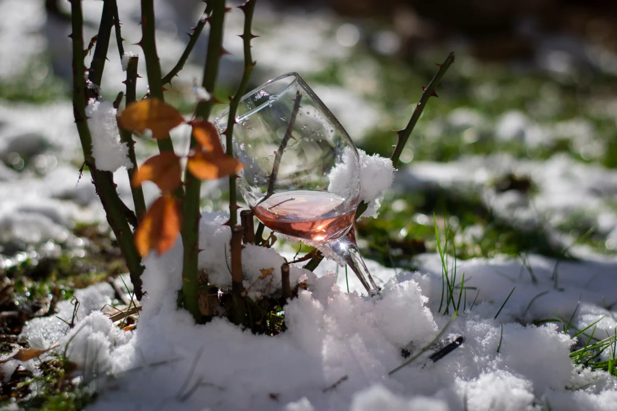 Ve sněhu leží sklenice s vínem. 