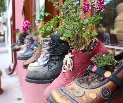 květiny v botách