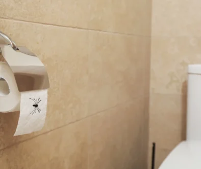 Na toaletním papíru je pavouk.