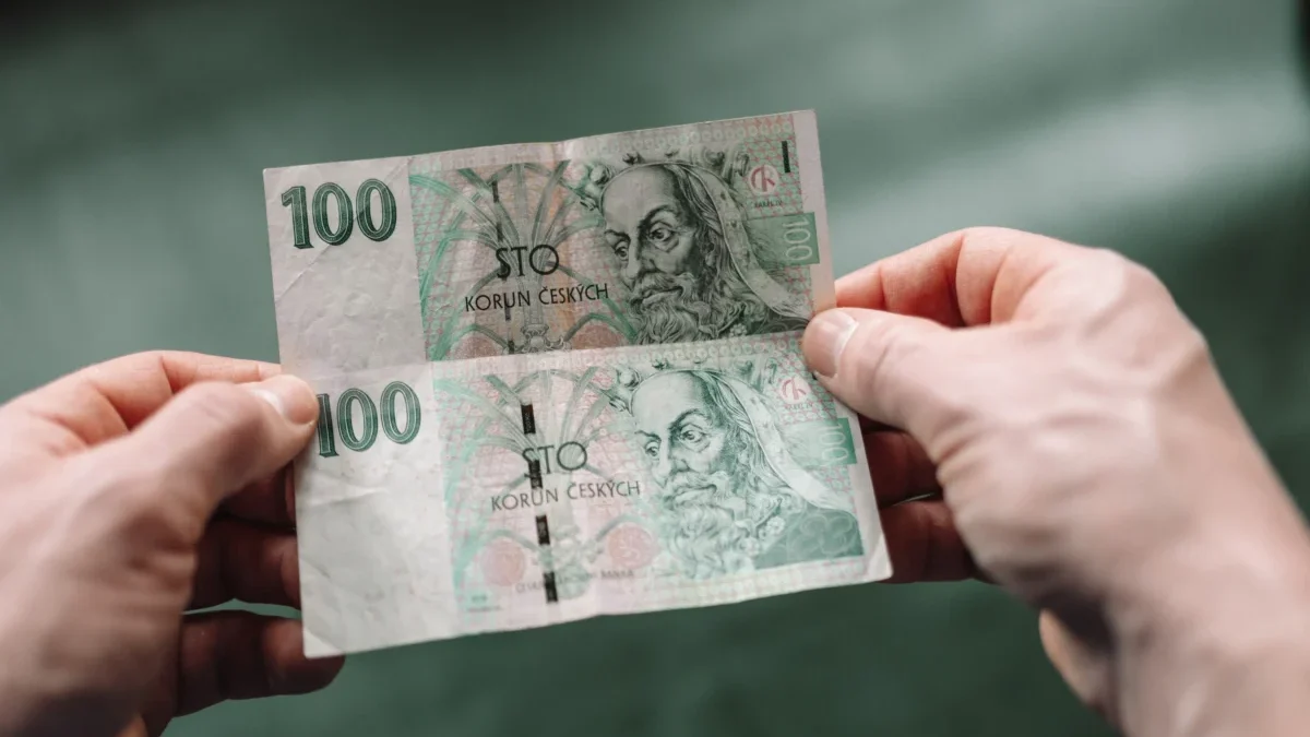 Člověk v ruce drží české bankovky.