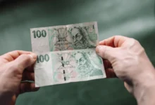Člověk v ruce drží české bankovky.