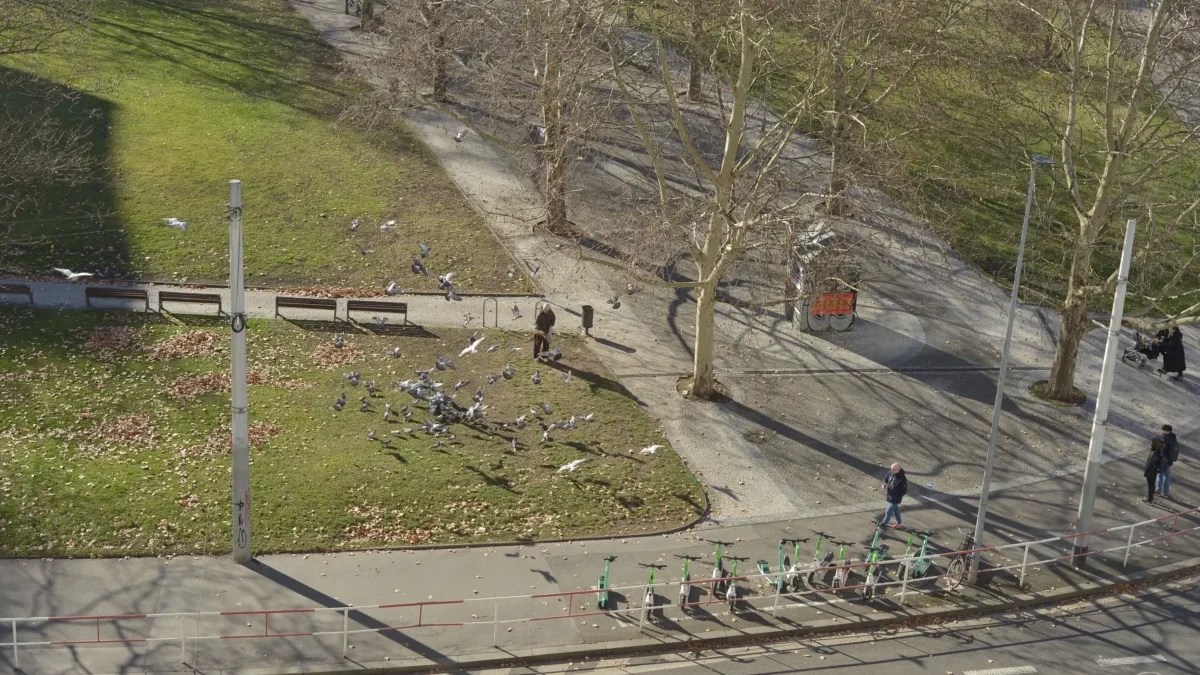 Výhled na pražský park v dubnu