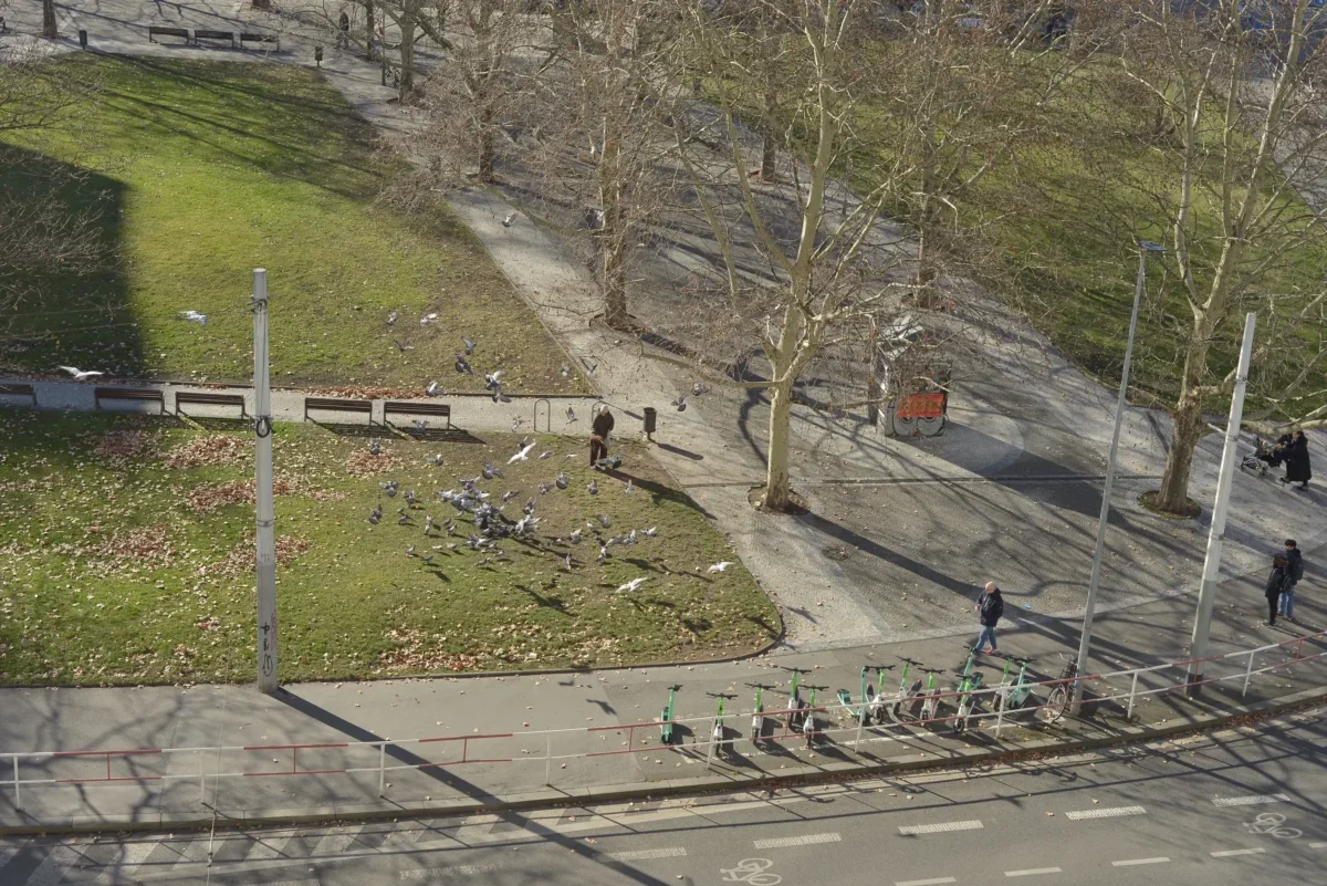 Výhled na pražský park v dubnu