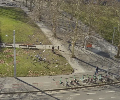 Výhled na pražský park v dubnu